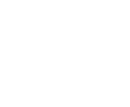 Evolution games at Playfina Casino